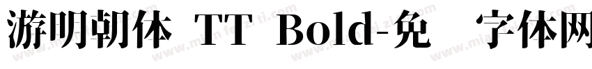 游明朝体 TT Bold字体转换